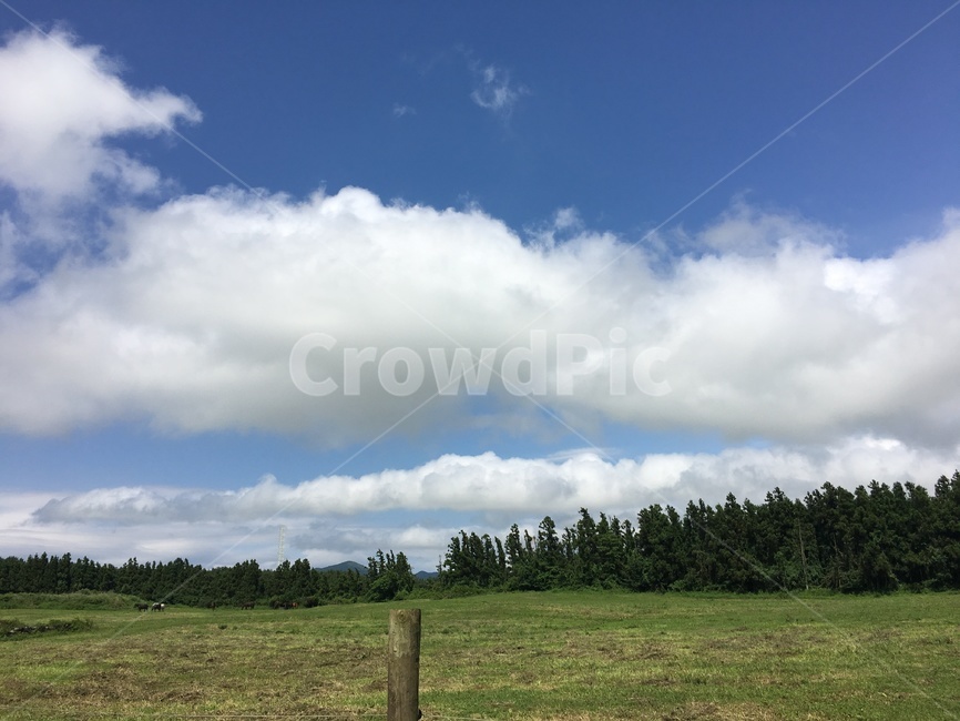 목초지,자연,옥외,field,outdoors,grassland,제주도,제주도풍경,구름,들판,들,나무,목장,제주,감성,힐링,평화,평온,제주오름,계절,여름,제주도목장,초원,nature,jejuisland,jeju,한국자연풍경,한국자연경관,한국풍경
