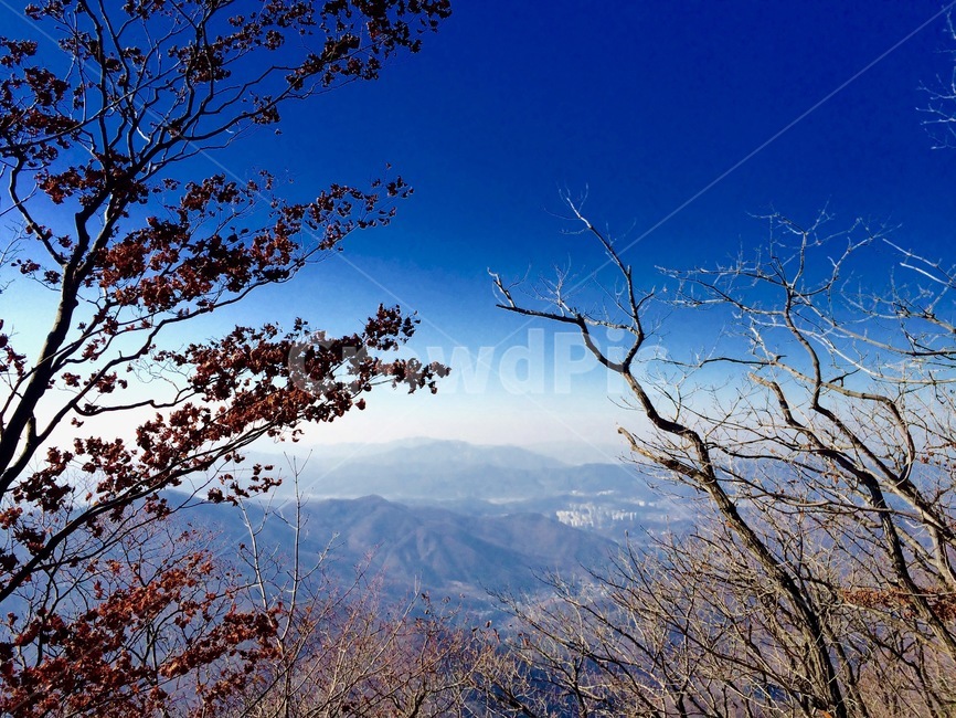 풍경,배경,나무,산,등산,하늘,겨울,계절,winter,season,자연,풍경,nature,landscape,tree,plant,식물,outdoors,옥외,scenery
