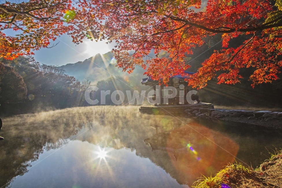 전북,정읍,내장사,우화정,내장사가을,우화정추색,물안개,우화정일출,가을,게절,단풍잎,tree,나무,plant,식물,leaf,flare,플레어,light,빛,maple,단풍,가을,계절,fall,autumn,season,자연,풍경,nature,landscape,한국자연풍경,한국자연경관,korea nature landscape