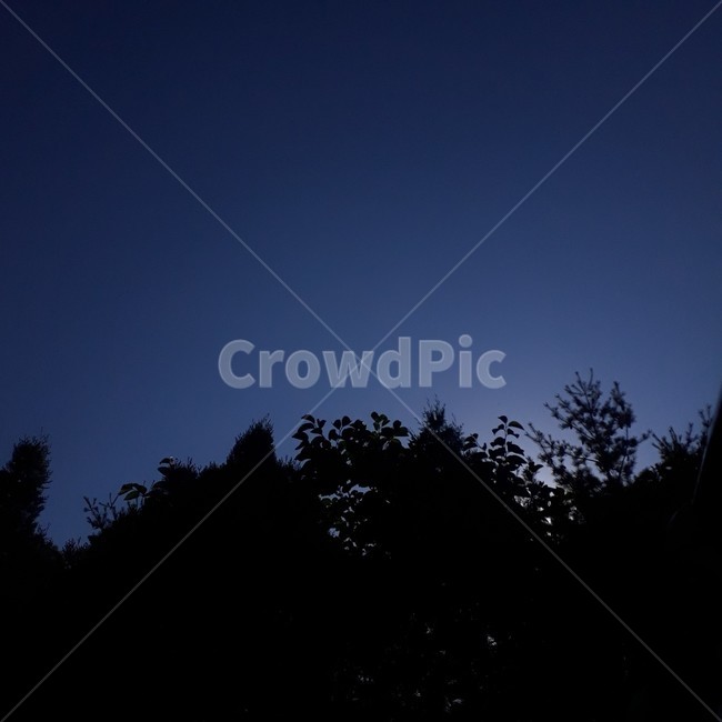 나무,하늘,자연,밤하늘,파란하늘,야경,밤,풍경,nightscape,night,landscape,실루엣,그림자,silhouette,shadow,nature,outdoors,옥외