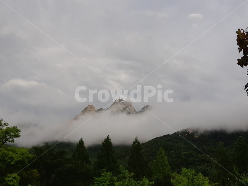 북한산,구름,백운대,인수봉,안개,산,봉우리,자연,풍경,nature,landscape,fir,전나무,plant,식물,tree,나무,weather,날씨,outdoors,옥외