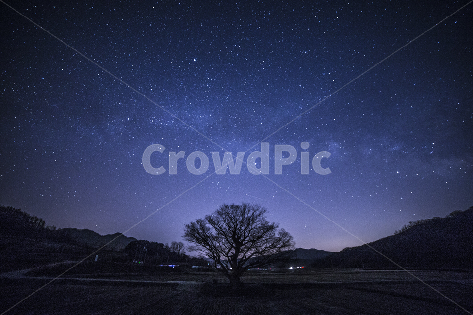 은하수,미리내,milkyway,별,왕따나무,원정리,보은,야경,밤하늘,stars,자연,풍경,nature,landscape,한국자연풍경,한국자연경관,korea nature landscape,시골,마을,country,rural,town,야경,밤,nightscape,night,식물,plants,나무,trees,wood,감성,sensible,feeling,outdoors,옥외