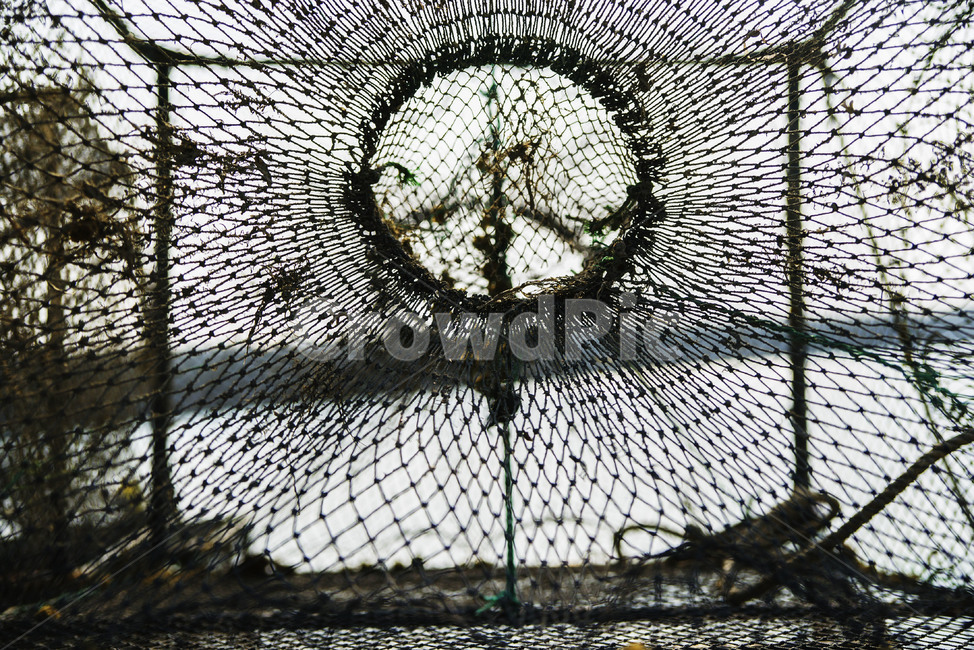 그물,망,마름모,네모,원,코어,나이론끈,지지대
