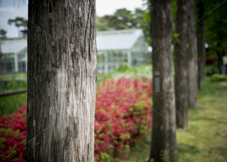 자연,길,나무,선유도공원,푸른,하늘,공원,휴식,나뭇잎,잎,녹색,풍경,사진숲,nature,tree,trees,park,blue,sky,emo,landscape,way,green,photography,식물,자연,plants,nature