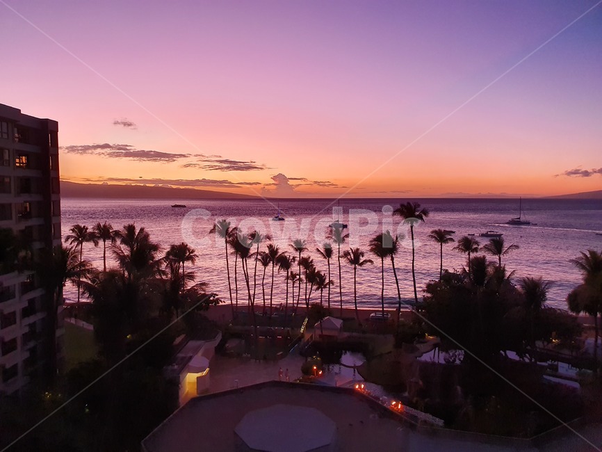 하와이,마우이,노을,야경,뷰,나무,구름,tree,야자수,palmtree,hawaii,maui,westinmaui,호텔,리조트,sunset,일몰,붉은노을,바다,자연,여름,nature