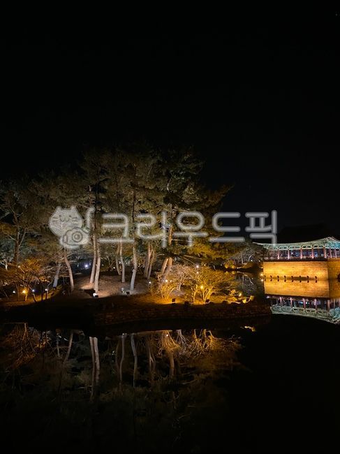 자연,옥외,동궁과월지,야경,한옥,경주