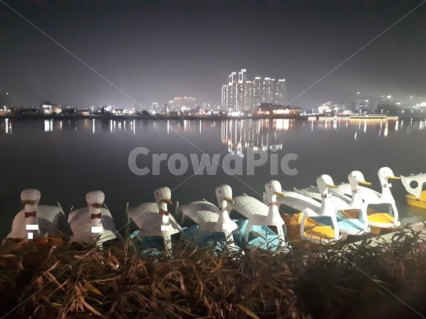 도시,저수지,아파트,불빛,아름다움,평온한,야경,밤,풍경,nightscape,night,landscape,도시,city,water,물,waterfront,워터 프론트