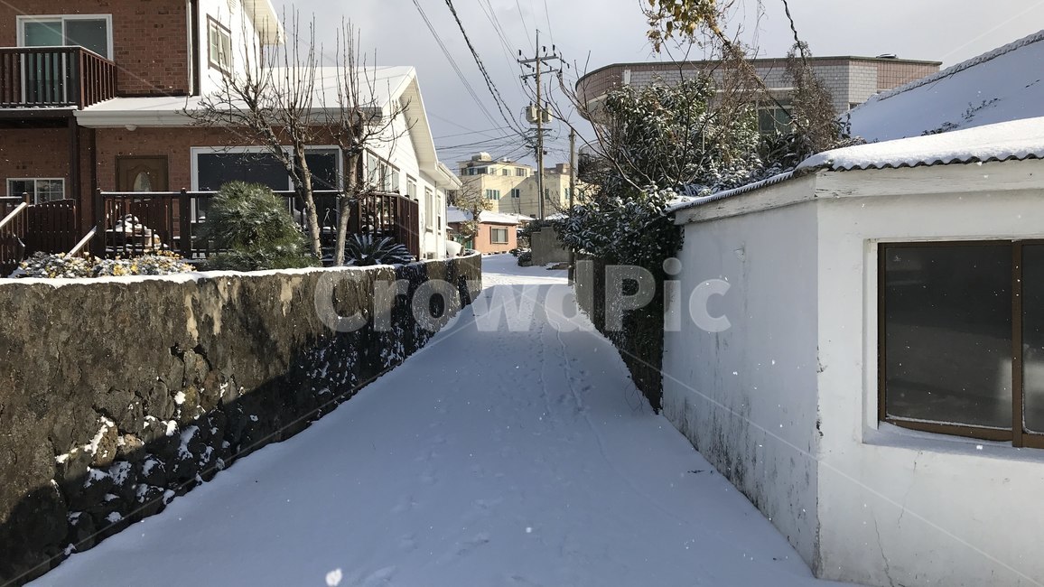 눈,폭설,골목길,눈길,돌담길,겨울,계절,winter,season,골목길,alley
