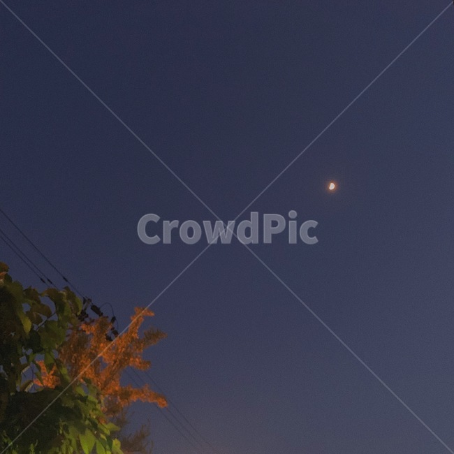 달,나무,풍경,밤,하늘,감성,저녁,자연,nature,분위기,moon,야경,밤,풍경,nightscape,night,landscape