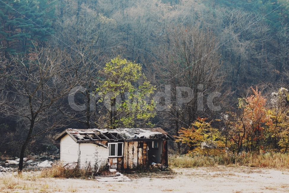 가을,정취,풍경,나무,단풍,폐가,자연,경치,강,새,고요,아침,경관,풍광,nature,landscape,한국자연풍경,한자연경관,koreanaturelandscape,감성,감정,sensible,feeling,emotion,계절,season,마을,rural,한국전통,한국문화,koreatraditional,koreaculture,plant,trees,wood,가을,계절,fall,autumn,season,자연,풍경,nature,landscape,한국자연풍경,한국자연경관,korea nature landscape,건축물,건물외관,exterior,building,structure,architecture,construction,outdoors,옥외,건물,shack,오두막집,농촌,hut,오두막