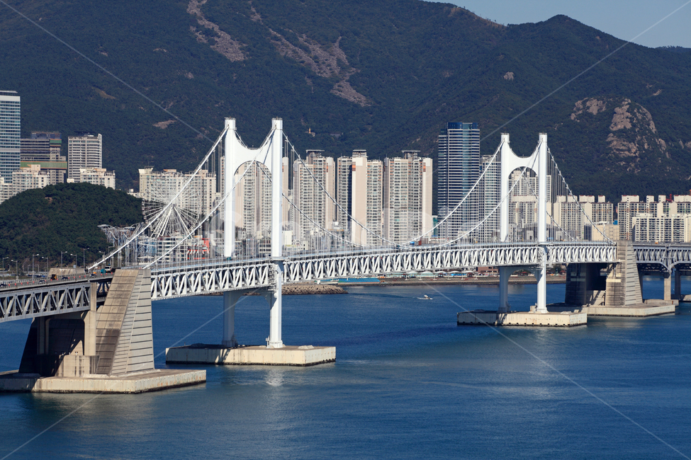 광안대교,다리,대교,교량,부산,한국,풍경,건축,건축물,현대,현대건축,빌딩,고층빌딩,아파트,교통,현수교,바다,도시,도심,비지니스,비즈니스,건물,랜드마크,타워