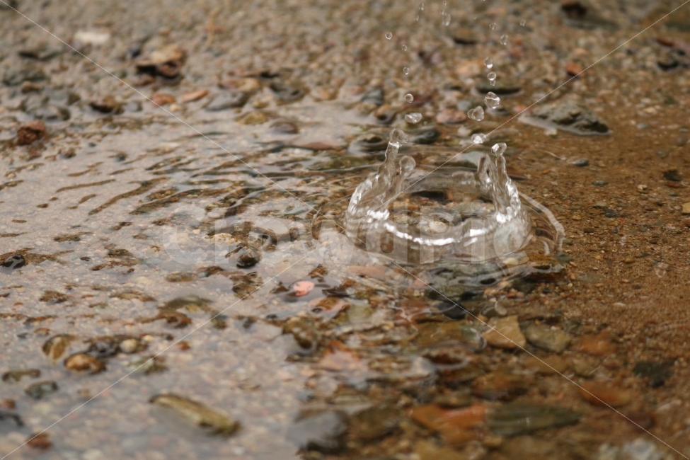 물방울,흙,접사,퐁당,크라운,왕관,자연,풍경,nature,landscape
