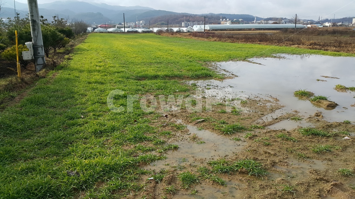 nature,자연,land,옥외,전봇대,계량,초록,비닐하우스,시골,물,풀