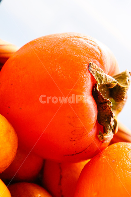 food,식품,과일,fruit,감,대봉시,홍시,주황색,음식,디저트,meal,과일,열매,fruit