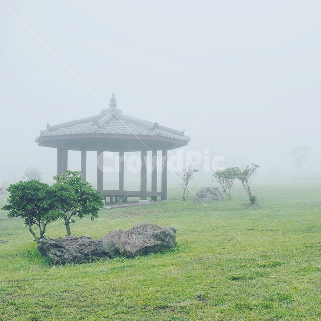 안개,몽환,제주도,풀,나무,바위,정자,쉼터,조용,기와,한국전통,한국문화,korean traditional,korean culture,건축물,건물외관,exterior,building,structure,architecture,construction