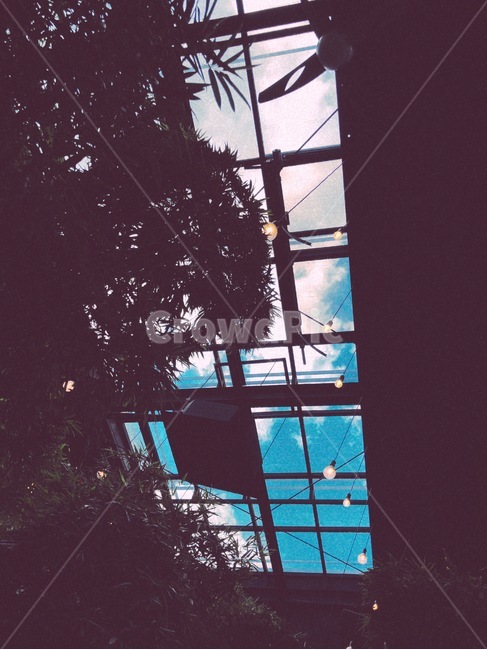 window,창문,building,건물,건축물,architecture