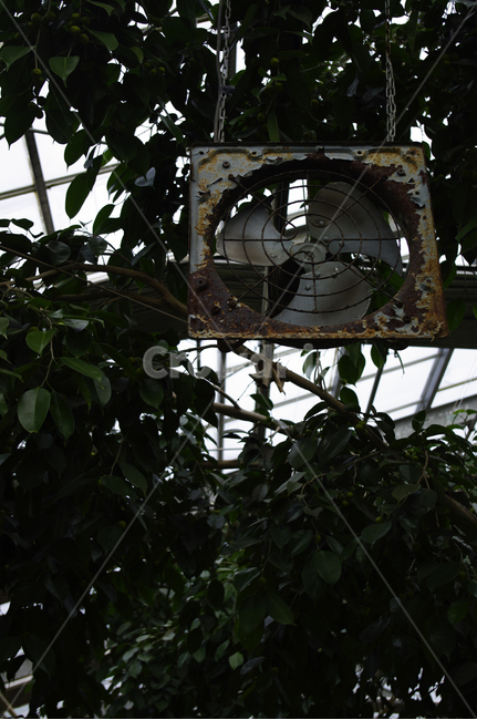 환풍기,식물원,식물,잎,나무,식물,자연,plants,nature,사물,물건,오브젝트,thing,object,matter