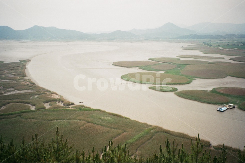 자연,늪지,여수,풍경,늪,자연,풍경,nature,landscape,outdoors,옥외,field,들,경치,scenery,land,땅,water,물