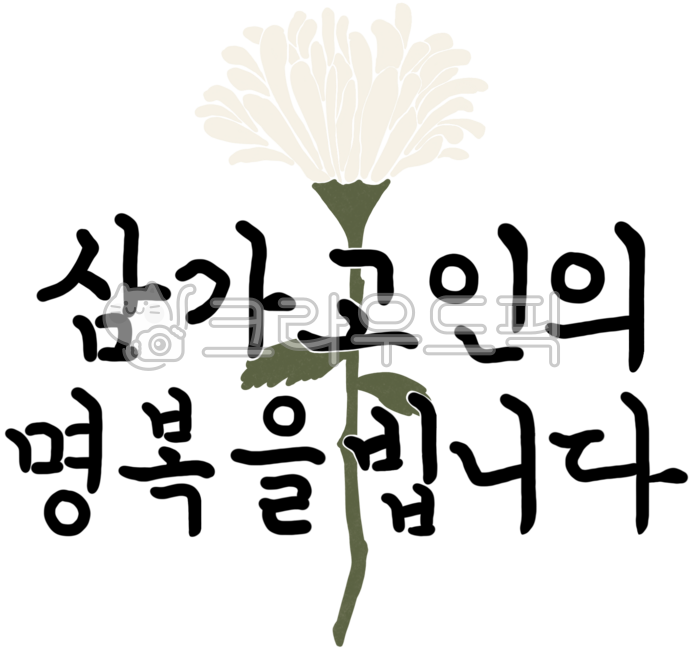 국화일러스트,국화이미지,국화그림,국화,추모,죽음,장례,애도,슬픔,슬픈,삼가,위로,상조,장례식,사고,흰국화,꽃잎,식물,국화꽃,고인,명복,장례식장,부고,삼가고인의명복을빕니다,캘리그라피,손글씨,손그림