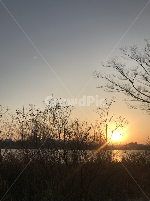 한강,강,노을,공원,산책,자연,풍경,nature,landscape,outdoors,옥외