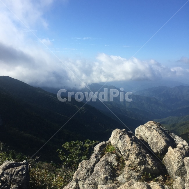 등산,지리산,힐링,나무,햇빛