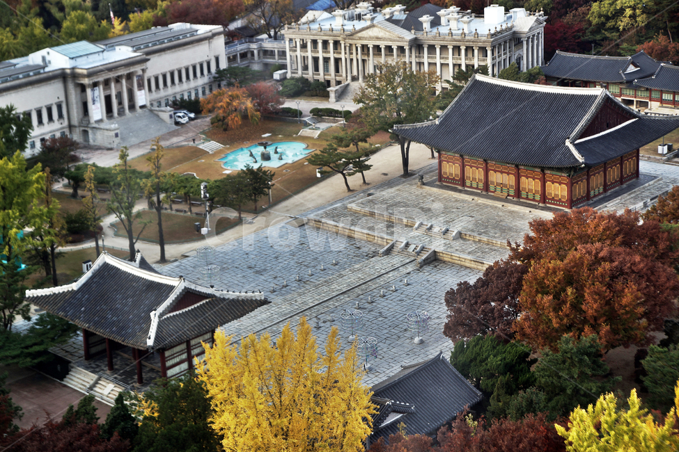덕수궁,궁궐,가을,자연,도심,중화전,석조전,중화문,한국전통,한국문화,korean traditional,korean culture