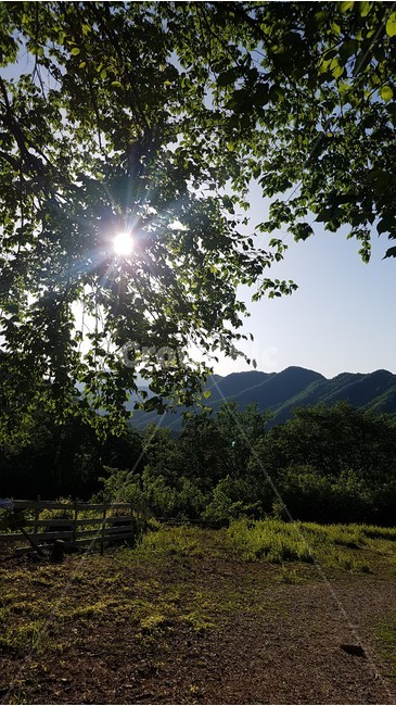 태양,햇살,나무,숲,산,자연,하늘,sunshine,sun,tree,forest,자연,풍경,nature,landscape,light,빛,flare,플레어