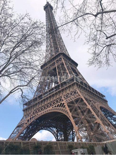 tower,파리,에펠탑,가을,architecture,에텔타워,타워,프랑스,랜드마크,landmark,tourist attraction,해외,외국,세계,foreign,oversea,world,세계랜드마크,해외랜드마크,외국랜드마크,world landmark,world tourist attraction,건축물,탑,building,건물,spire,첨탑,steeple,뾰족한 탑