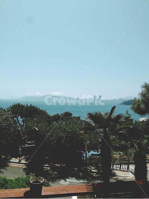 풍경,경치,nature,야자수,바다,sea