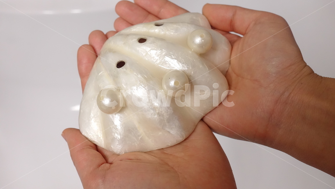 pealr,진주,보석,jewelry,soapdish,soapstand,바다,조개,예쁜,이쁜,부속물,악세사리,accessory