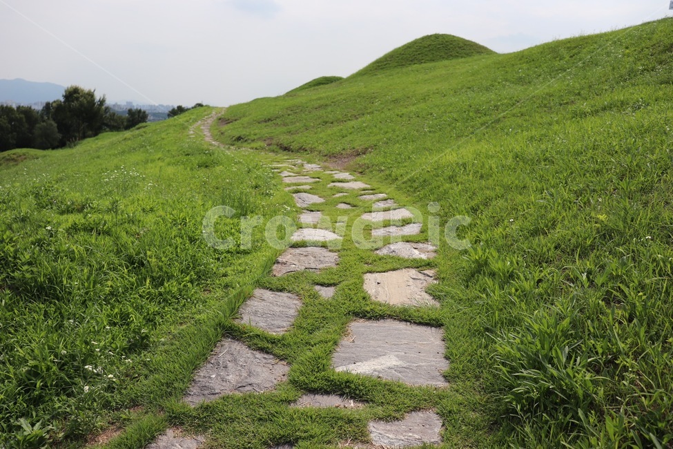 길,잔디,돌길,road,grass