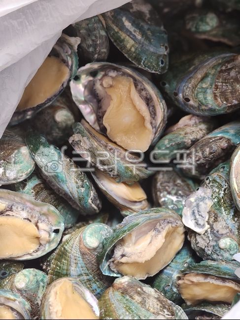 Abalone,five-component shellfish,clams,health food,abalone porridge