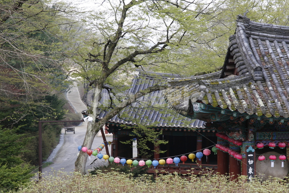 고운사,사찰,불교,풍경,의성,한국전통,한국문화,korean traditional,korean culture,종교,신앙,religion,belief,faith,건축물,건물외관,exterior,building,structure,architecture,construction