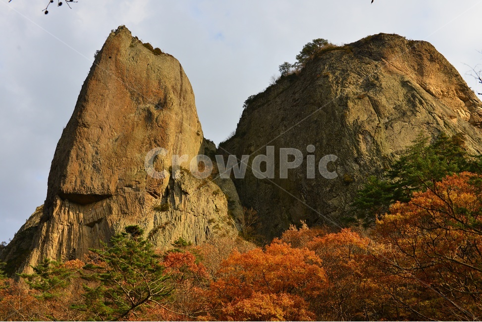 경북,청송,주왕산,주왕산가을,추색,가을,추경,단풍,단풍잎,cliff,낭떠러지,plant,식물,leaf,잎,tree,나무,treetrunk,나무줄기,nature,자연,outdoors,옥외,경치,경관,풍경,자연,풍경,nature,landscape