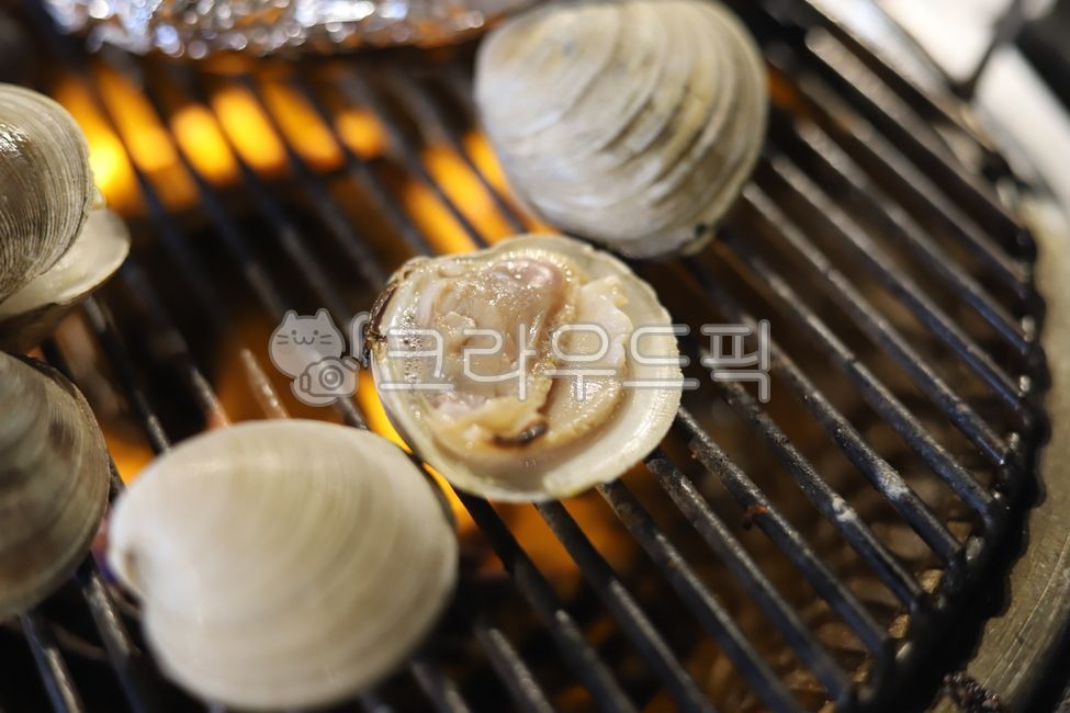 invertebrate,조개,조개구이,백합조개,해산물,구이,헤물,음식,food,seafood