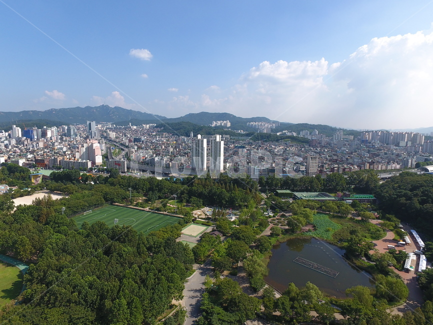 보라매공원,공원,도심,도시,보라매