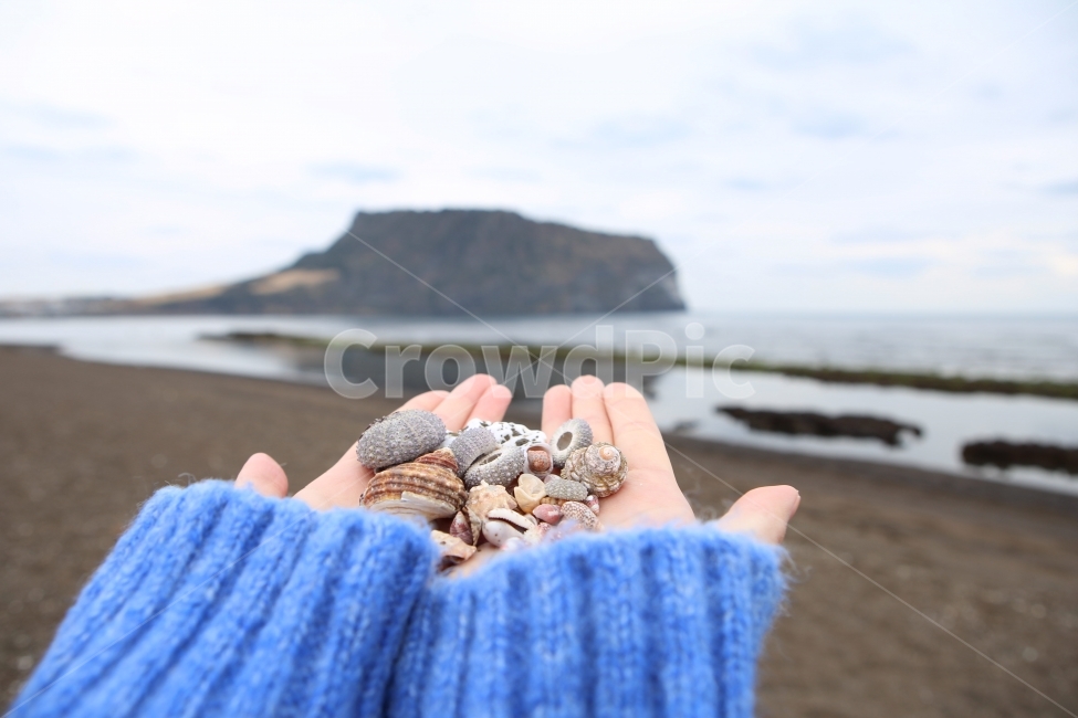 제주,제주앞바다,조개껍질,제주바다,광치기해변,자연,풍경,nature,landscape,한국자연풍경,한국자연경관,korea nature landscape,해변,바다,beach,sea,제주도,jeju,jeju island,사람,인물,인간,human,person,신체일부,몸,body,감성,sensible,feeling