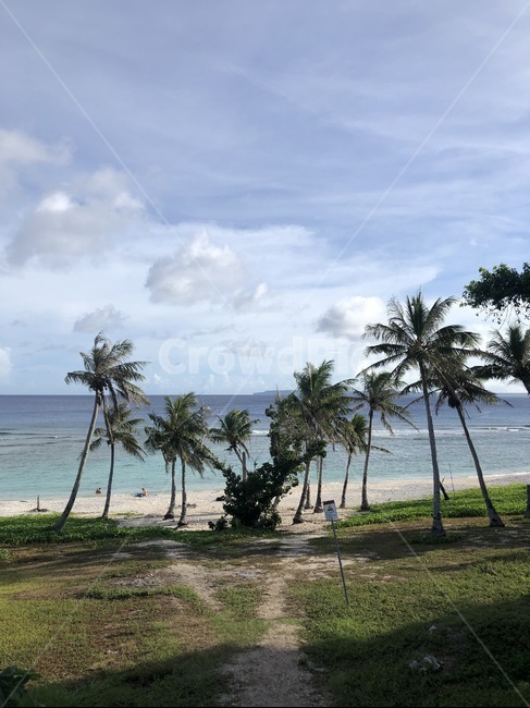 해변,야자수,비치,사이판,하늘,바다,푸른바다,휴양지,구름,summer,여름,tropical,열렬한,beach,sea,자유,자연,풍경,nature,landscape,해변,바다,beach,sea