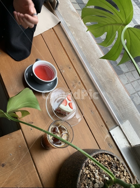 카페,아이스아메리카노,딸기케이크,카페감성,디저트,음식,식재료,요리,food,cook,meal,dishes,food reserves,디저트,간식,후식,dessert,snack,커피,카페,coffee,cafe