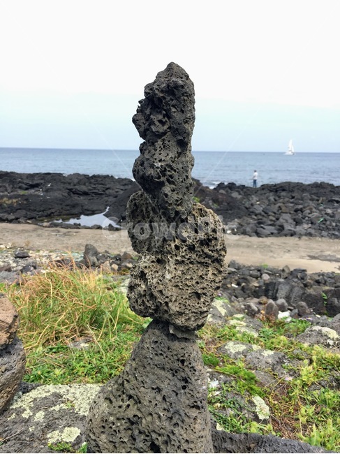제주도,현무암,돌,해변,월정리