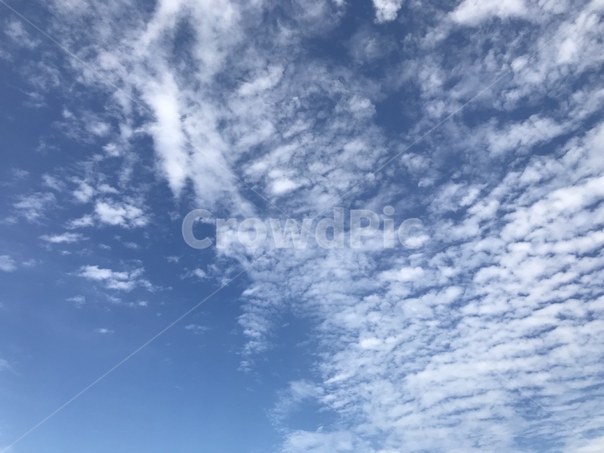 자연,nature,옥외,outdoors,sky