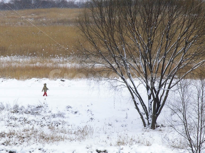 설경,눈,겨울,나무,겨울풍경,흰눈,하얀,백색,눈부신,산행,시안,사보,카다로그,브로셔,뉴스레터,자료,출판,편집,콘텐츠,전단,느낌,잡지,광고,단행본,서적,환경,sns,포스터,홍보용,ebook,ice,winter,snow,road,mountain,길,시즌,season,야외,자연,식물,투명한,모바일,배경,백그라운드,힐링,념,감성,필링,분위기,눈밭,추억,낭만,여행,12월,화이트,휜색,background,white,흰색,풍경,1월,사람,여자,홀로,걷다,워킹,갈대밭,억새밭,겨울,계절,winter,season,자연,풍경,nature,landscape,한국자연풍경,한국자연경관,korea nature landscape,식물,plants,나무,trees,wood,outdoors,옥외,land,땅,person,human,인간