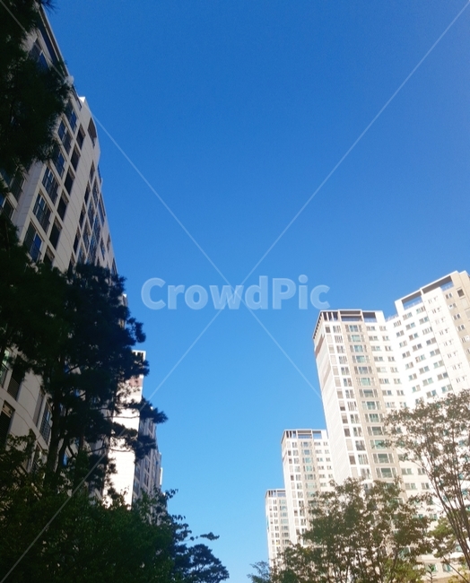 픙경,풍경,밝음,햇빛,아파트,나무,도시,풍경,city,landscape