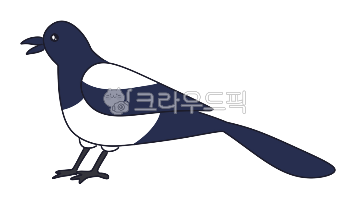 까치,새해,명절,설날,추석,bird,magpie