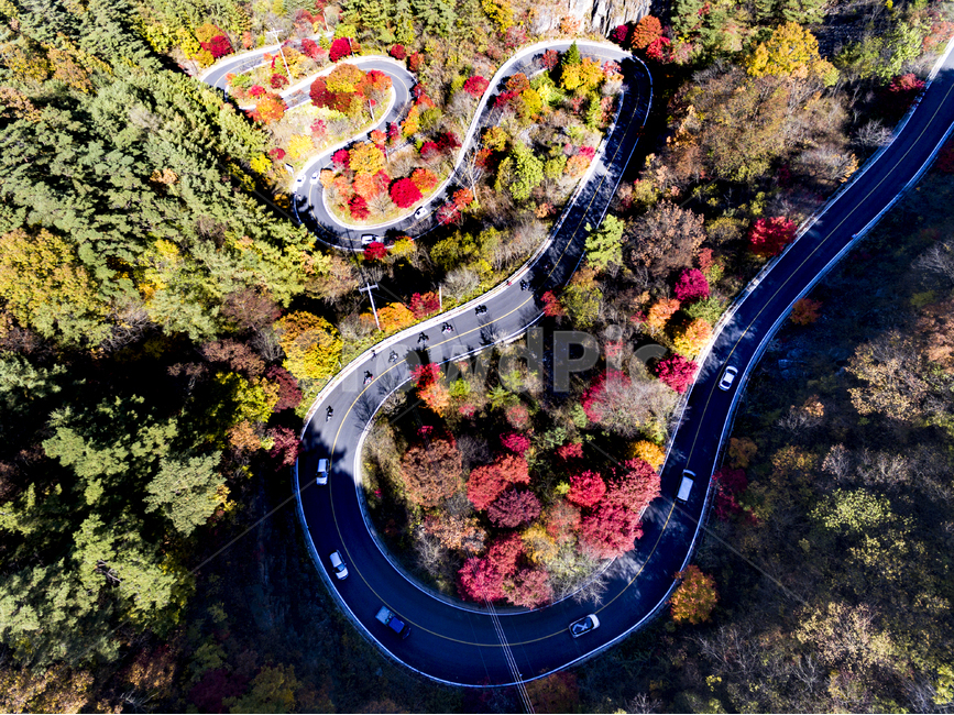 드론사진,가을단풍,풍경사진,드론,항공사진,가을,계절,fall,autumn,season,자연,풍경,nature,landscape,교통,교통수단,traffic,transportation,outdoors,옥외,경치,scenery,aerial view,조감도,road,도로