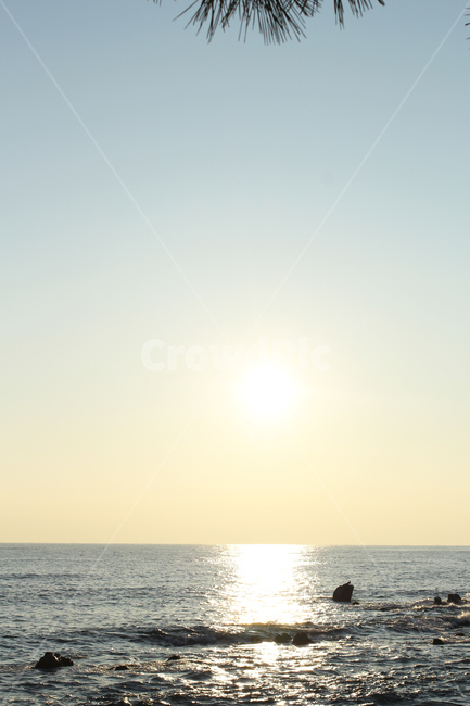 해돋이,일출,일몰,바다,새해,sunrise,newyear,해,sun,sunset,nature,자연,outdoors,옥외,자연,풍경,nature,landscape
