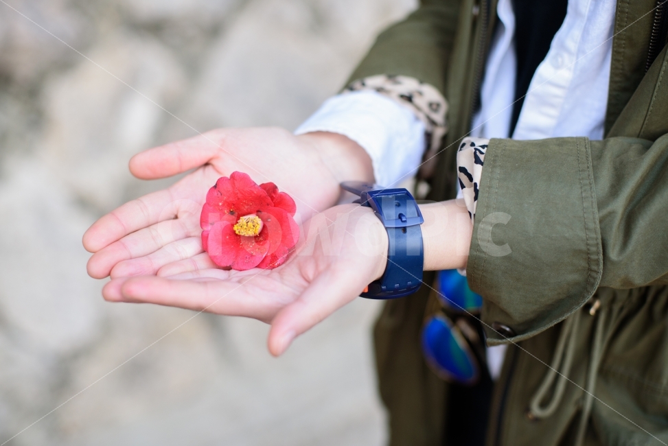 손,동백꽃,빨강,꽃,소중함,지키다,보호,감성,사람,hands,camelliaflower,red,precious,guard,식물,자연,plants,nature,꽃,flower,사람,인물,인간,human,person,연출,컨셉,콘셉,direction,concept