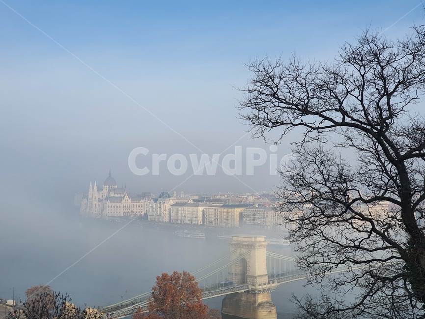 안개,fog,세체니다리,부다페스트,nature,풍경