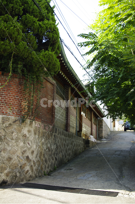 나무,길,주택,담장,식물,outdoors,옥외,garden,정원