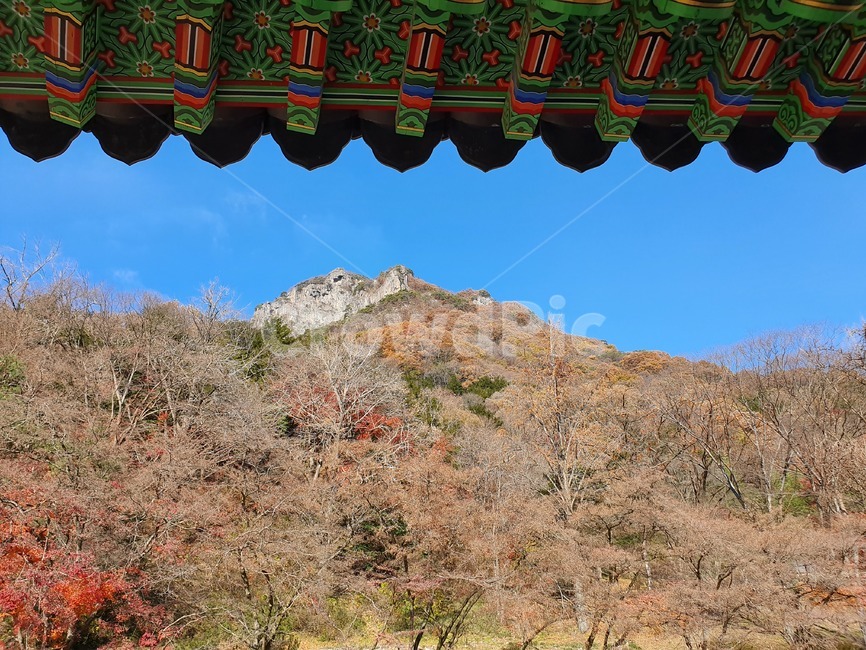 가을,가을하늘,백양사,장성백양사,자연,한국전통,한국문화,korean traditional,korean culture